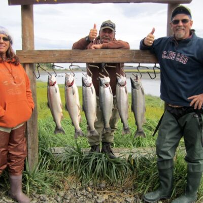 2011 kasilof river silver salmon 2