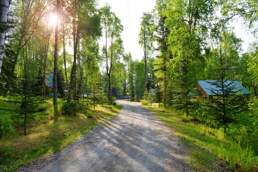 ALASKA DRIFT AWAY FISHING IS PROUD TO ANNOUNCE SILVERTIP LODGE AND CABINS AS ITS FEATURE LODGE.