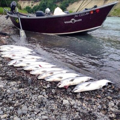 alaska fishing kasilof river