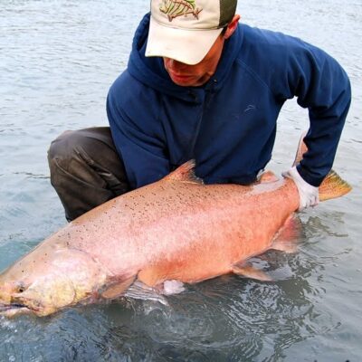 alaska king salmon fishing 50 pounder 1
