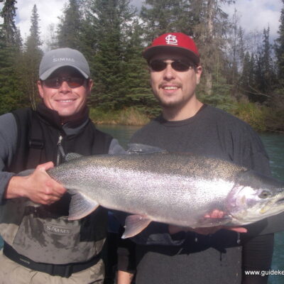 big Kenai River Trophy Alaska Rainbow Trout