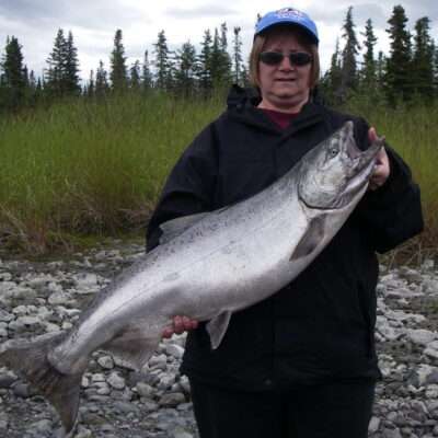 june kasilof river king salmon 1