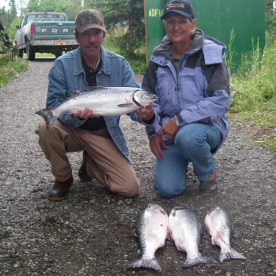 kasilof river silver salmon