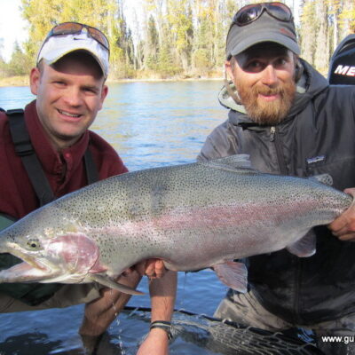 kenai river trophy rainbow trout 1