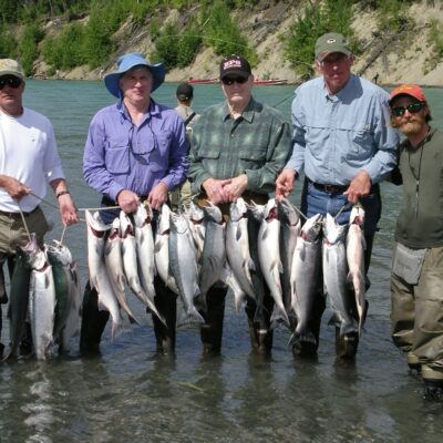 limit red salmon kenai river