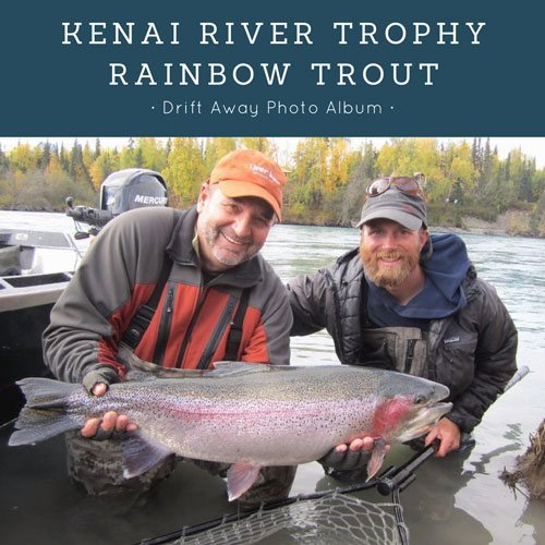 rainbow trout 500x500 1