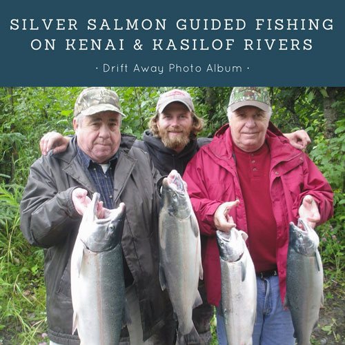 silver salmon 500x500 1