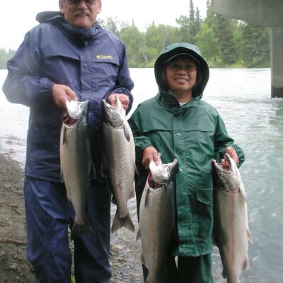 silver salmon kasilof river