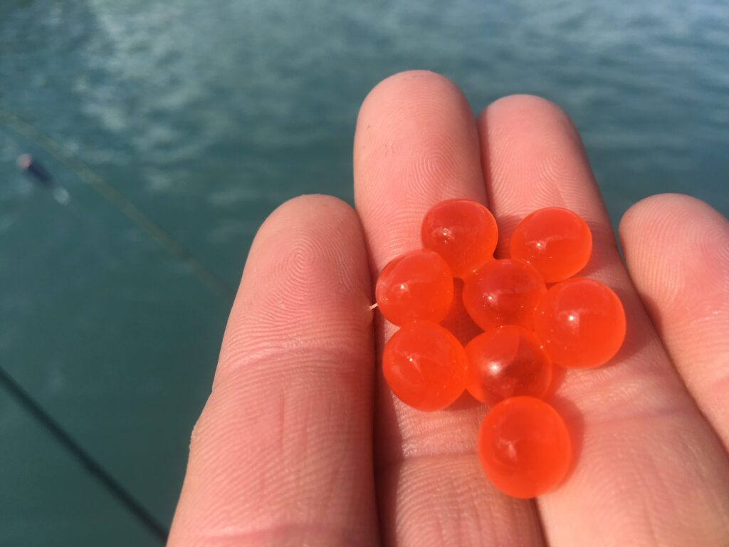 fish eggs used for fishing rainbow trout in alaska