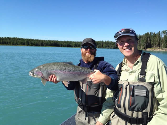 This rainbow trout was caught on the middle kenai river as the trout move to their summer feeding grounds. Alaska trout fishing with guide Jeremy from Alaska Drift Away Fishing.