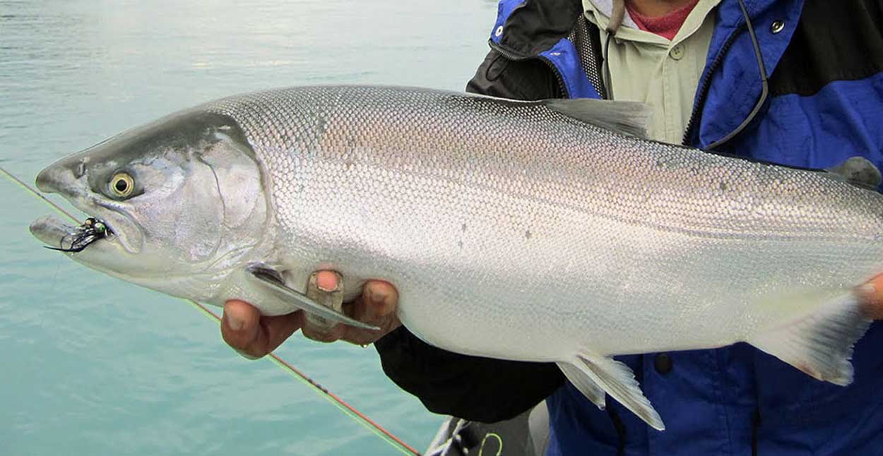 Guided Alaska Fishing Trips for Rainbow Trout & Salmon | Drift Away