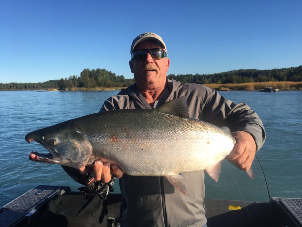 August Silver Salmon on Kenai River Alaska