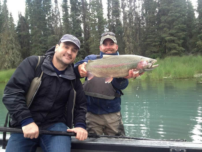 Rainbow Trout guided fishing in june on the Kenai River is some of the best trout fishing Alaska has to offer.