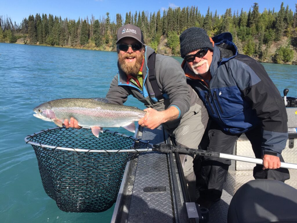 Mid September Kenai River Rainbow trout catch after we did a few days of experimenting with our new pattern of fishing.