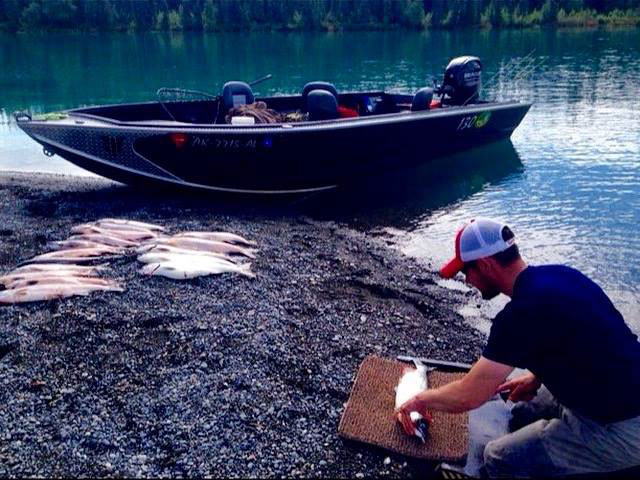 Gutting a 2nd Run of Kenai Reds in 2016