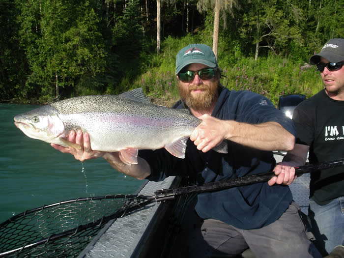 guide holding a nice 26" kenai river rainbow trout