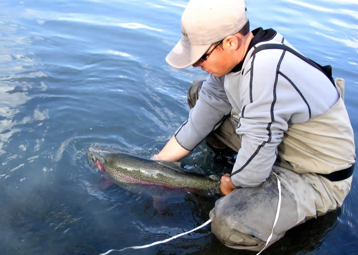 Guide with rainbow trout