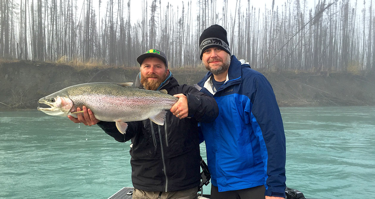 alaska rainbow trout facts 10