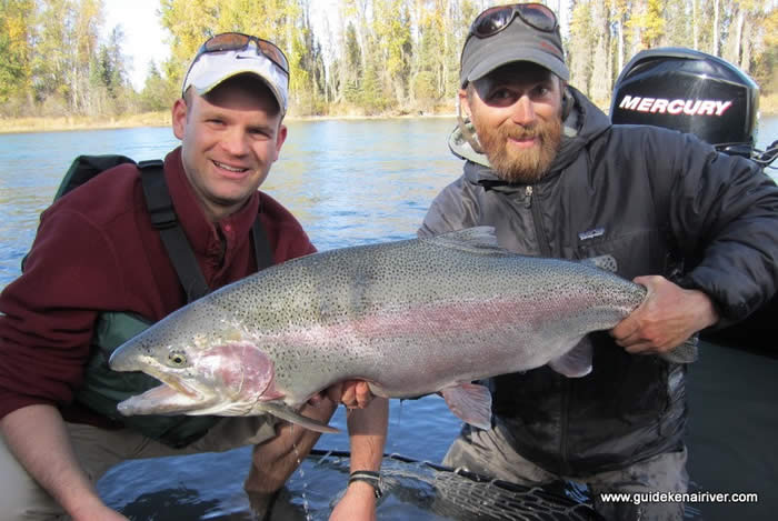 Photogenic Rainbow Trout