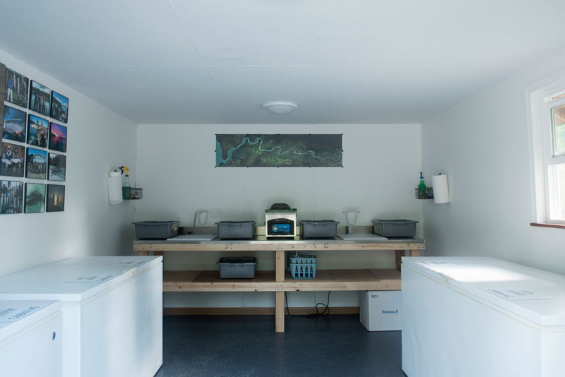 Silver Tip Lodge & Cabins Fish Processing Room