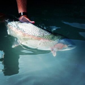 IMG 0171 2 Kenai River Fly Fishing