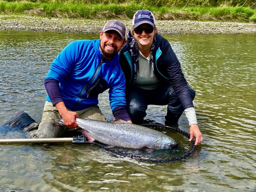 Kasilof King Salmon