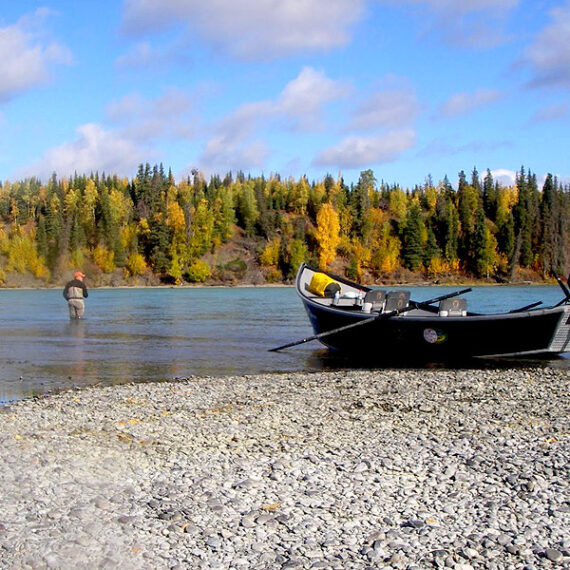 Guided Alaska Fishing Trips for Rainbow Trout & Salmon | Kenai Peninsula