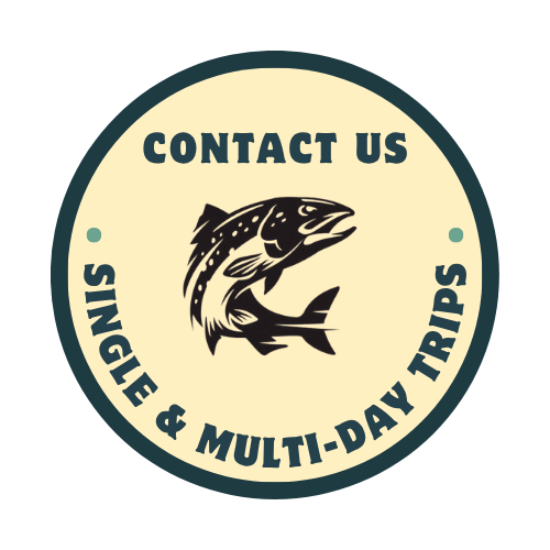 Contact Us (2)